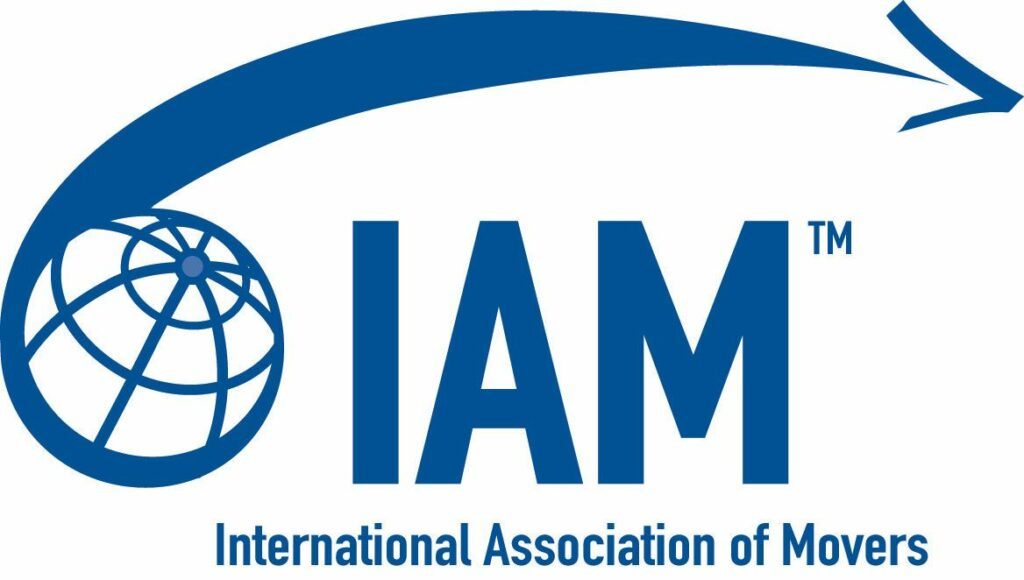 IAM logo 3 blue